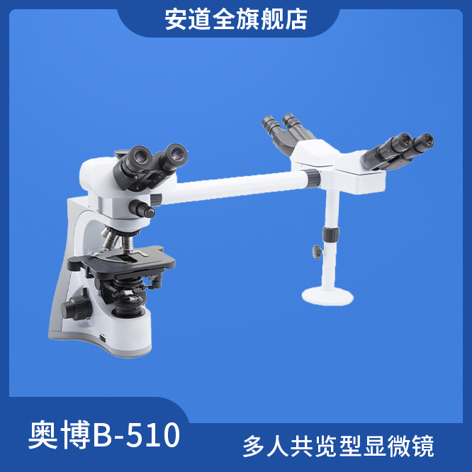 奥博B-510多人共览型显微镜-教学显微镜