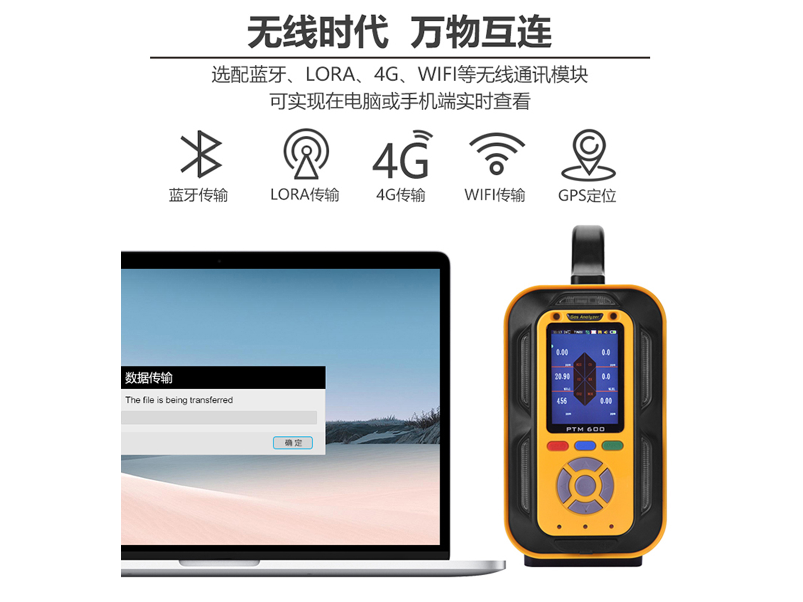 PTM600-手提式复合型气体分析仪9.jpg