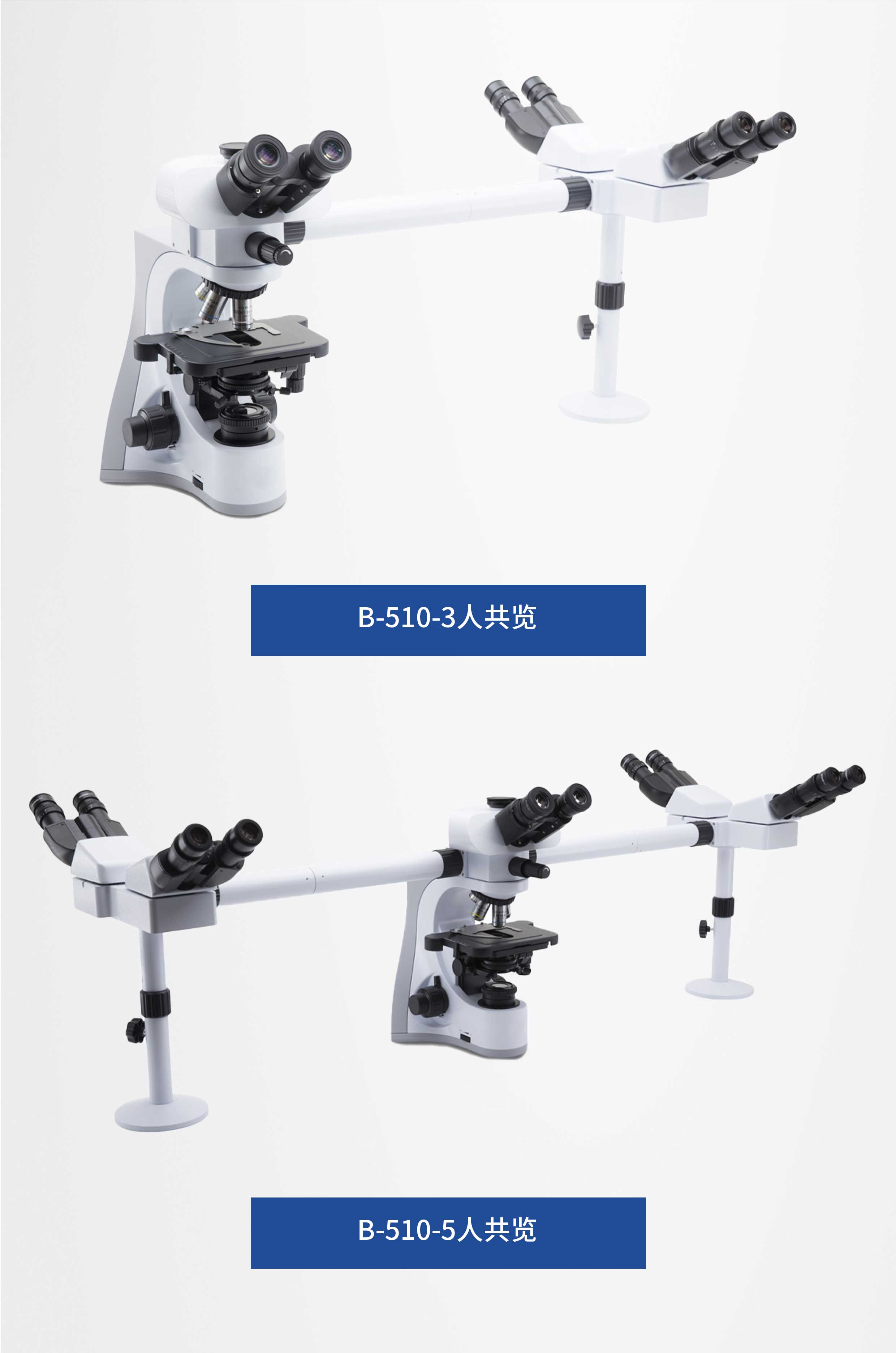 奥博B-510多人共览型显微镜-2.jpg