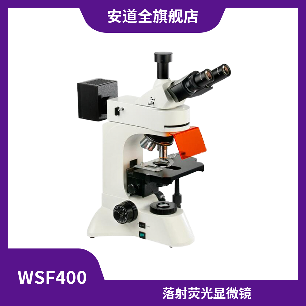 WSF400落射荧光显微镜