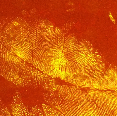 茚二酮粉末/晶体