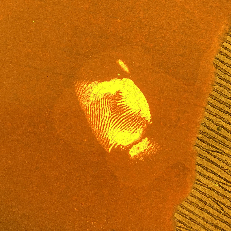荧光潜血血指纹.png 荧光潜血血指纹.png