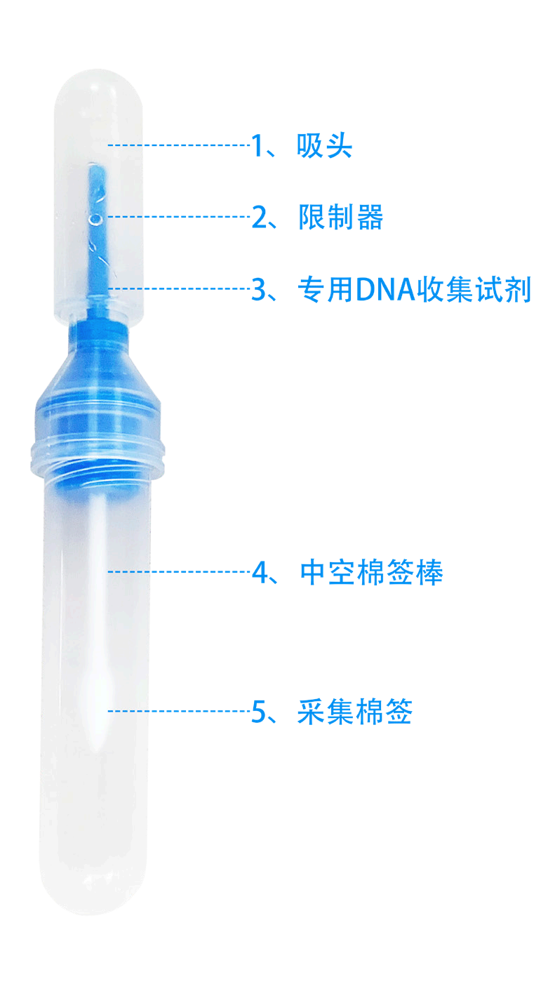 高效DNA富集拭子