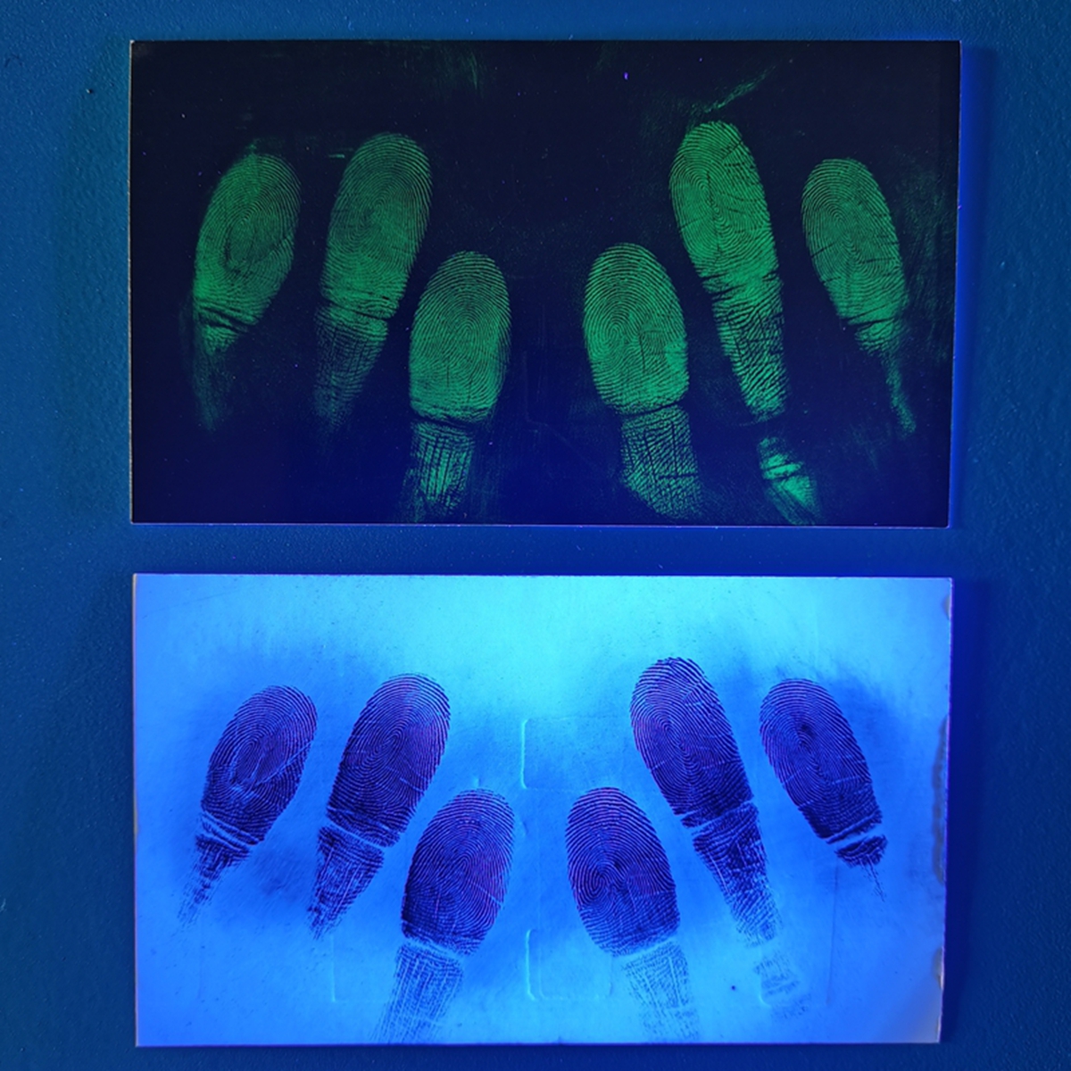 指纹粉末黑色磁性粉金粉银粉红色黄色荧光粉橙色绿色荧光粉AIE银黑双色指纹粉铁磁粉30ml