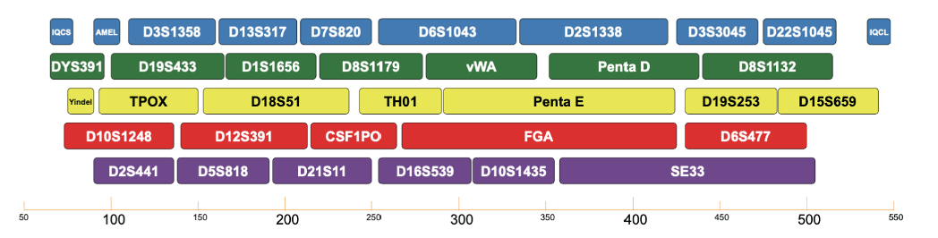 图片 1.png 图片 1.png