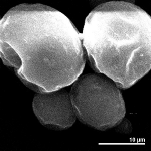 纳米灭火胶囊结构示意图