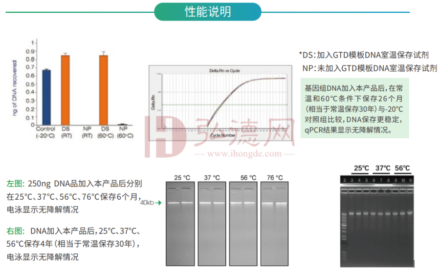 GTD模板DNA室温保存试剂核酸保存模板DNA长效保存DNA常温保存试剂DNA样本冻存