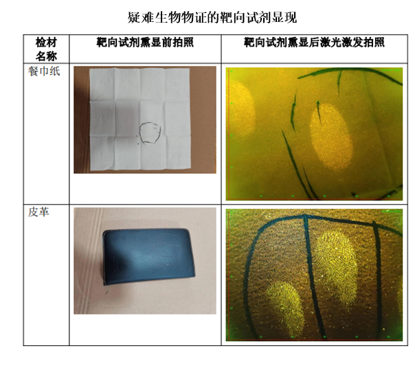 吃手持式可视化靶向激光显现仪 