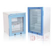 FYL-YS-100L X光片保管柜,恒温保管箱,生物物证保管柜