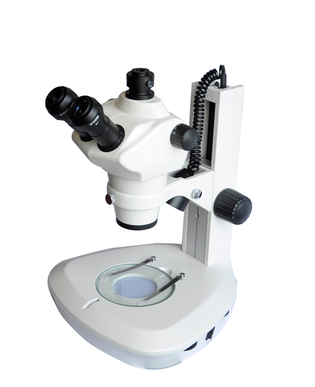 XTB-800高倍材料显微镜