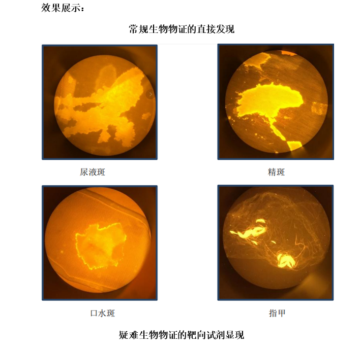 吃手持式可视化靶向激光显现仪 