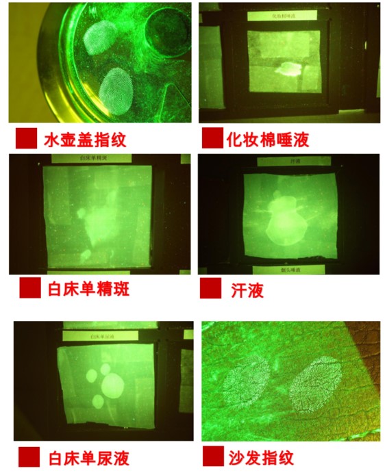 HX-DTSC电筒式双波段激光物证发现仪