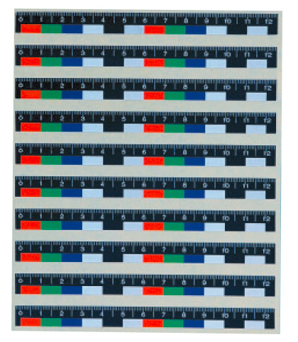 彩色不干胶比例尺（12cm）刑事照相比例尺
