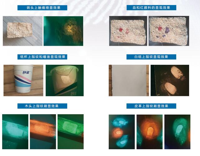 HXSX-I生物痕迹荧光靶向显现箱