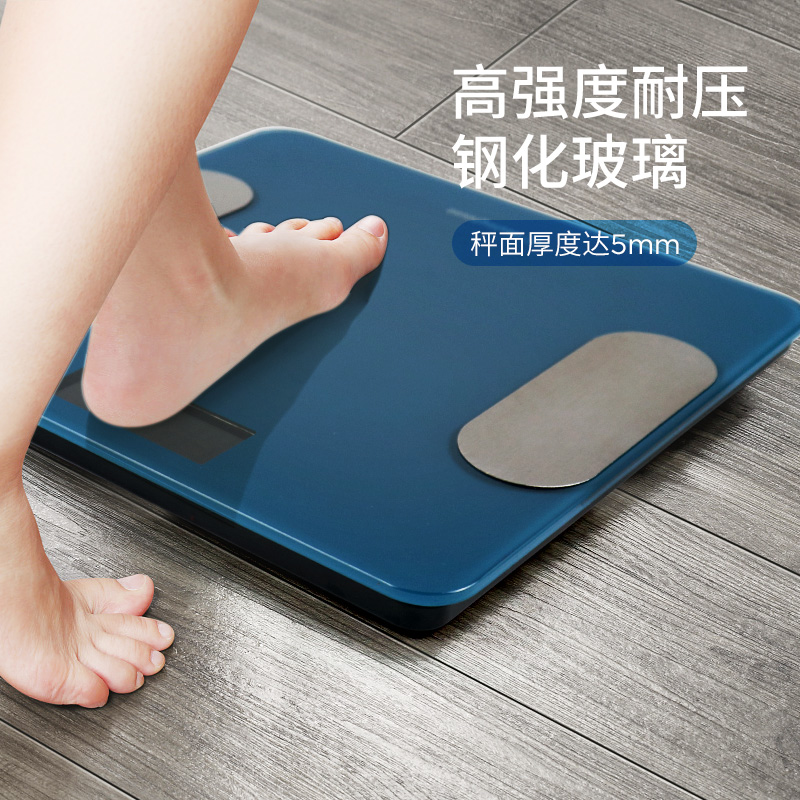 西屋 西屋体脂秤T201（49900积分）