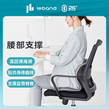 乐班（leband)靠垫 花瓣坐垫 呵护腰靠背垫美臀塑形座椅 古典灰