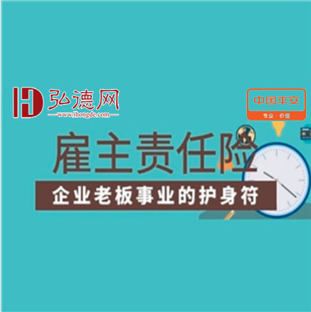 平安保险公司为弘德网加盟机构、加盟商、大客户专业定制，平台加盟方专享优惠保险方案，为机构、企业雇主提供风险防范的有效方法