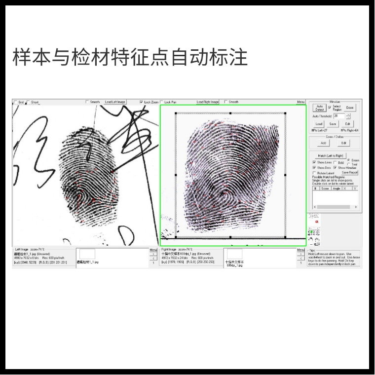 德试用49期丨鹰探CSIC 智能指印鉴定辅助系统