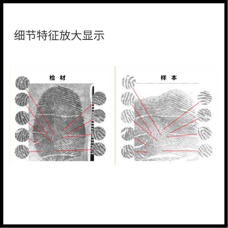 德试用49期丨鹰探CSIC 智能指印鉴定辅助系统