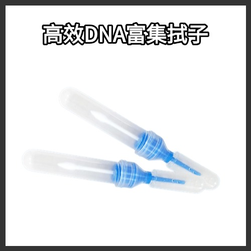 【北京刑技研制】 高效DNA富集拭子 / 脱落细胞采集器 / 生物物证提取棉签 （20支/袋） 