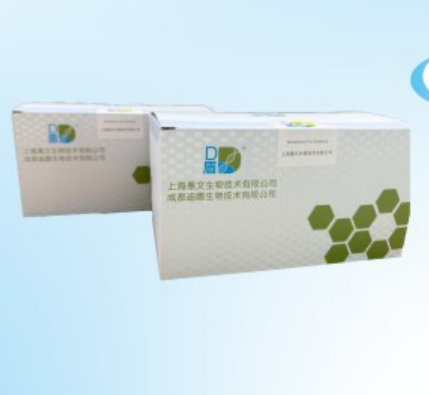 D盾超敏DNA提取试剂盒  100人份/盒
