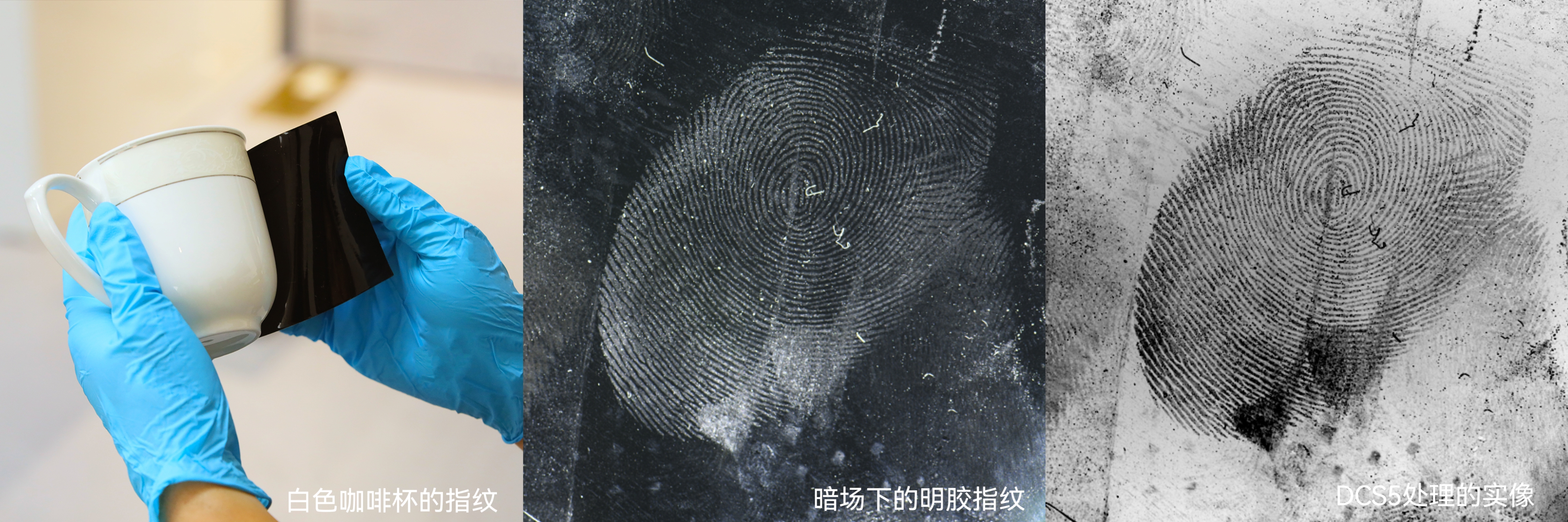 手印明胶片 手印提取.jpg