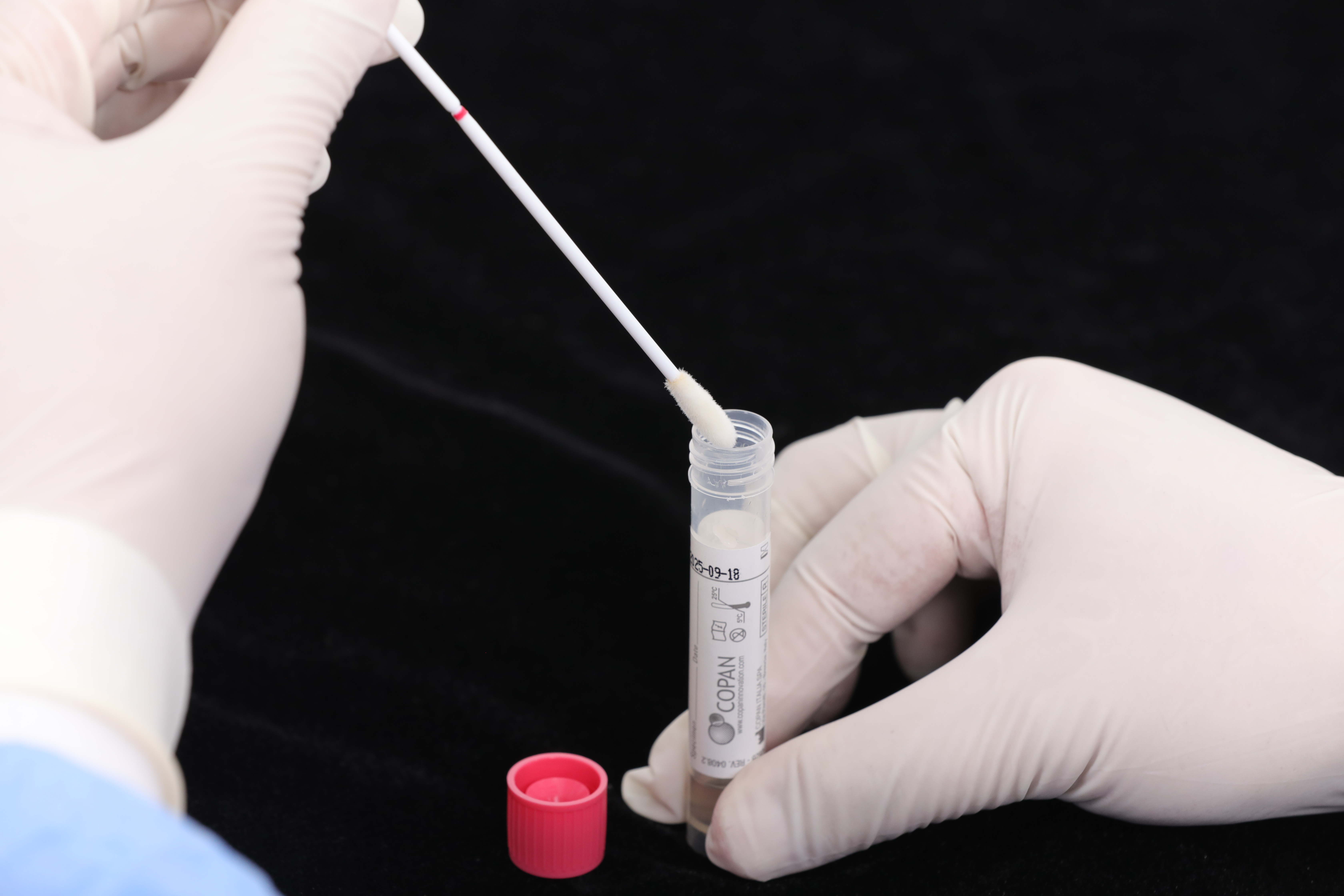 德试用|COPAN 转运培养基 微生物菌群培养 4U003S 500支/箱