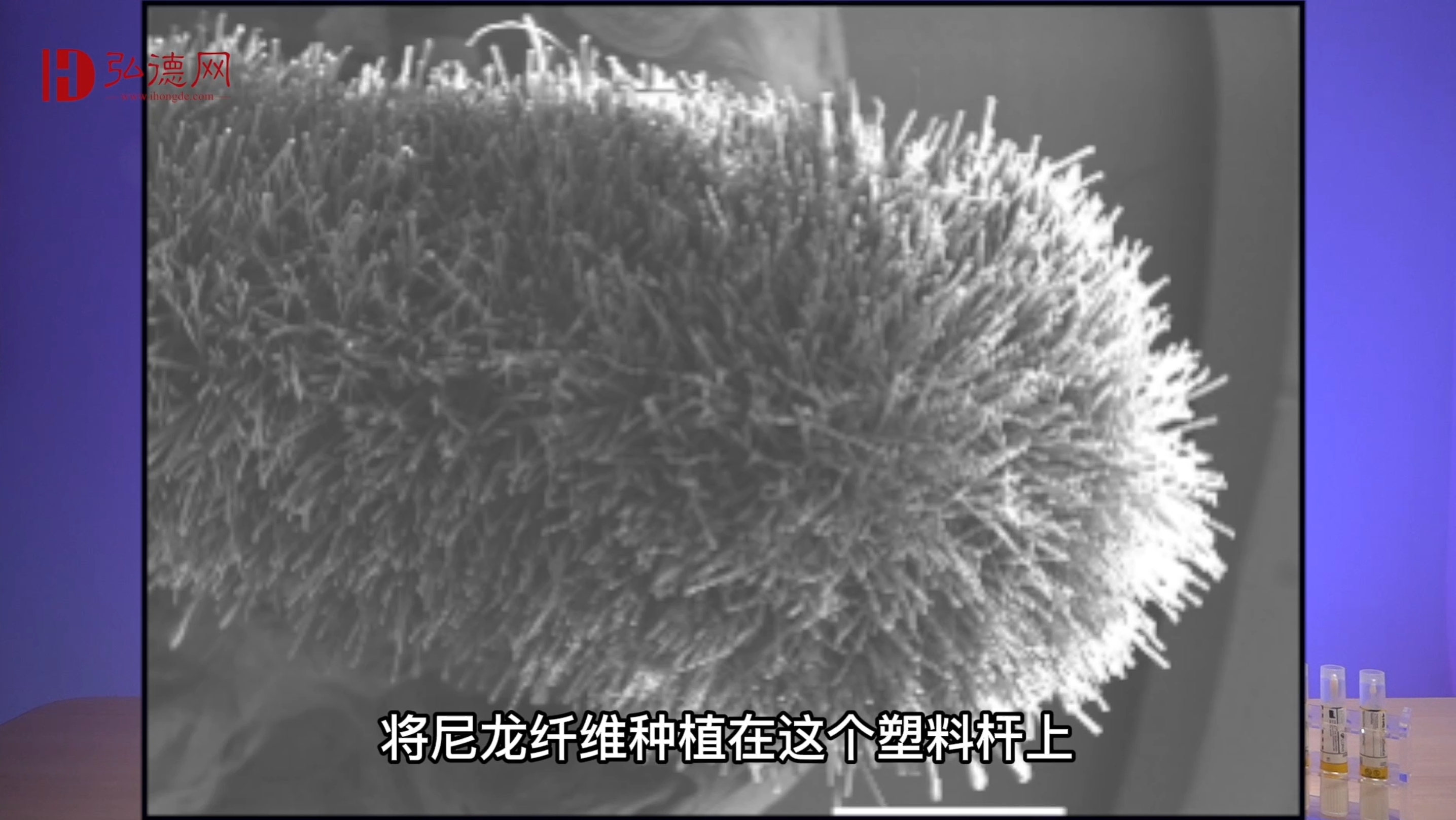 推荐官介绍