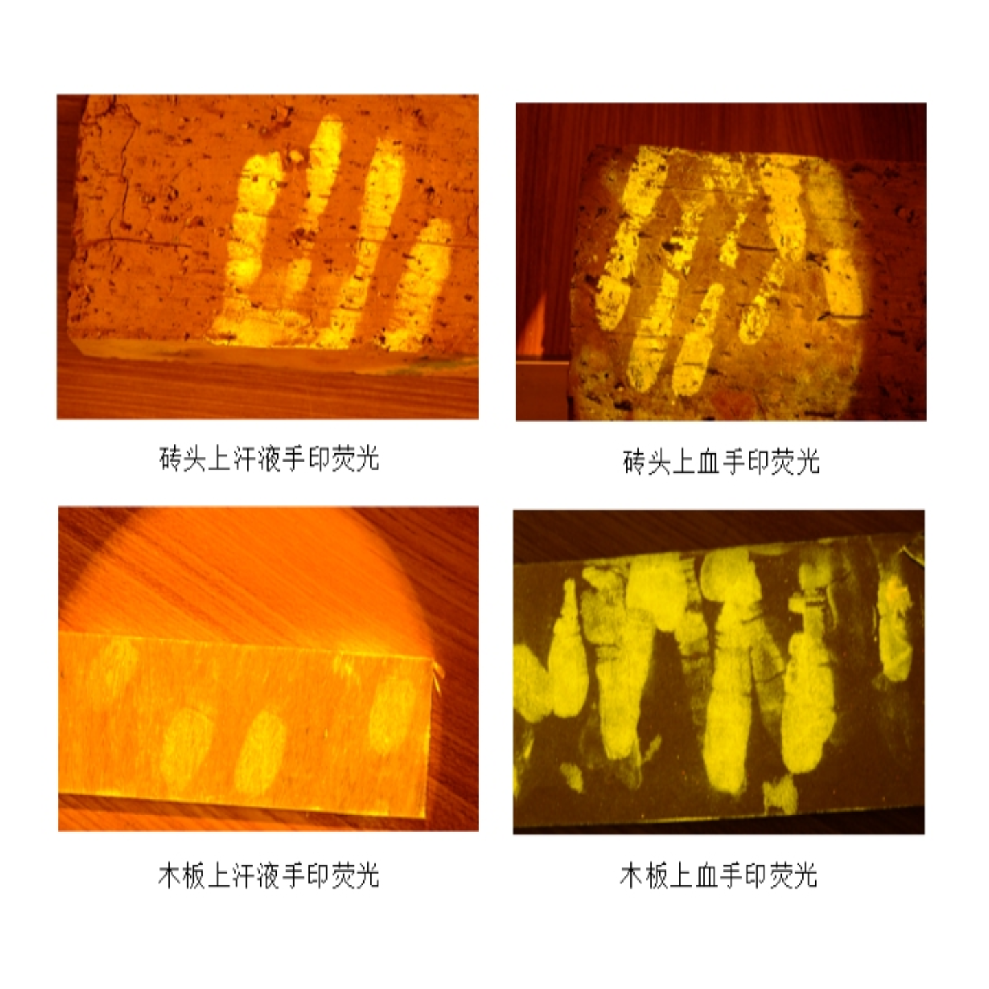 微信图片_20250923120700_828_4.png