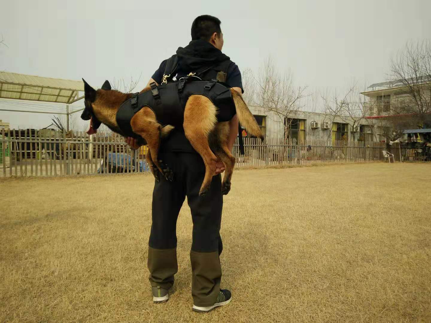 工作犬携行背包 | 户外出行训练装备 | 狗狗救援背包 | 警犬用品