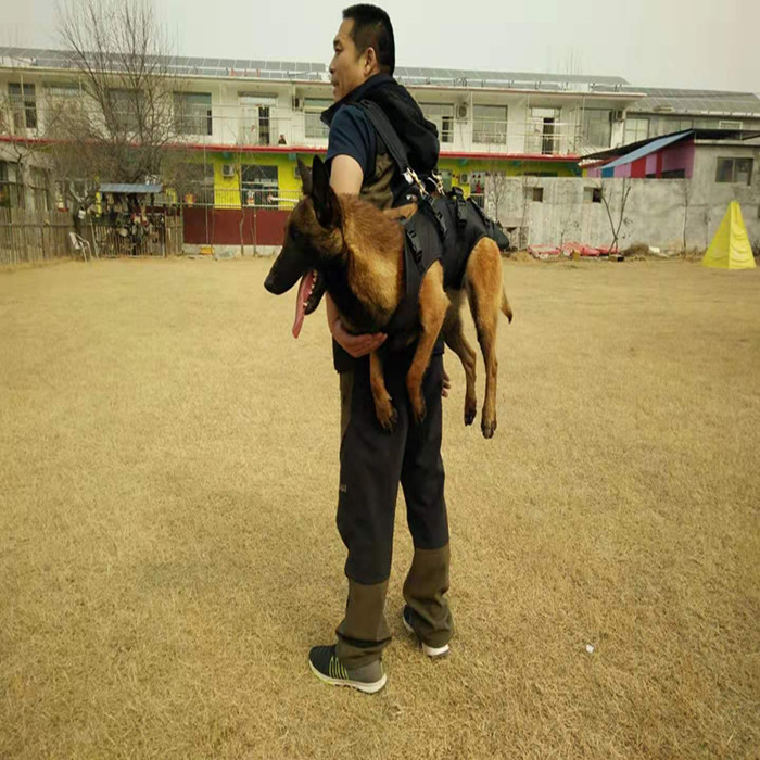 工作犬携行背包 | 户外出行训练装备 | 狗狗救援背包 | 警犬用品