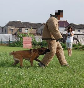 麻布扑咬衣 | 训犬用品 | 警犬用品  | 犬训练服  | 训犬服