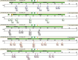 Gensaver 2.0 Forensic DNA Card-生物样本保存卡