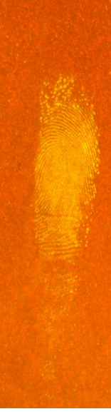 QQ_1776064290039.png