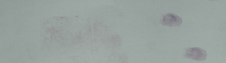 QQ_1776066811046.png