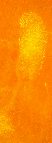 QQ_1776048016688.png