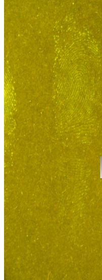 QQ_1776064271353.png