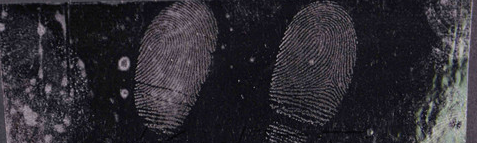 QQ_1776157218513.png