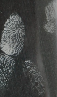 QQ_1781576005791.png