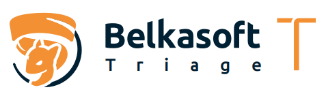 Belkasoft T 现场快速取证工具