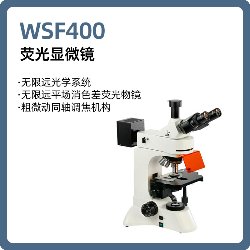 荧光显微镜WSF400 荧光显微镜