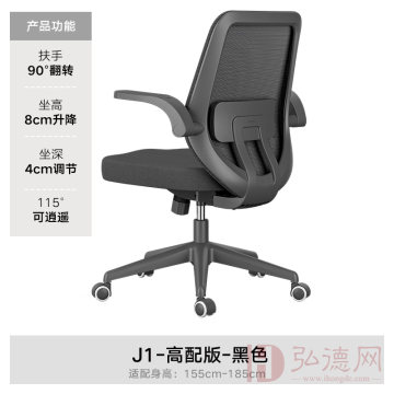 黑白调（Hbada）J1工学大师人体工学椅电脑椅学习椅 椅子 家用椅子家用座椅可升降 J1-黑色-高配版