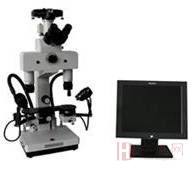WBY-6C比较显微镜比对显微镜