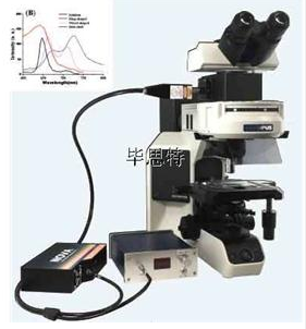 显微分光光度计显微光谱系统显微分光光度计显微红外光谱仪