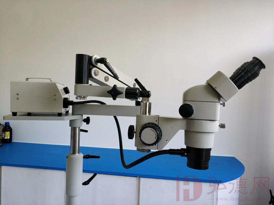  BX—80荧光体视显微镜