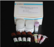 PCR-荧光探针法核酸检测试剂系列产品