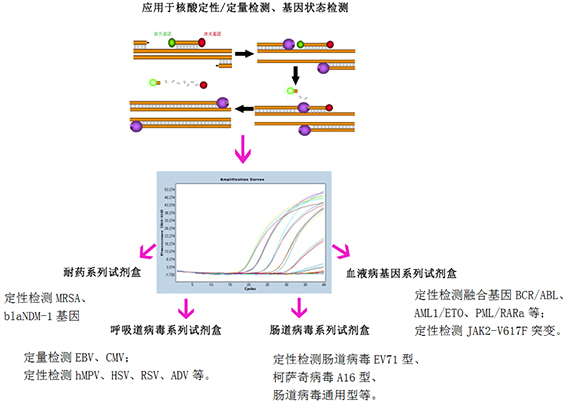 PCR-荧光探针法核酸检测试剂系列产品