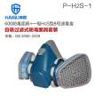 硫化氢气体防毒面具套装-海固HG-600半面罩+H2S型8号滤毒盒